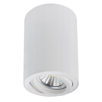 Точечный накладной светильник Arte Lamp SENTRY A1566PL-1WH